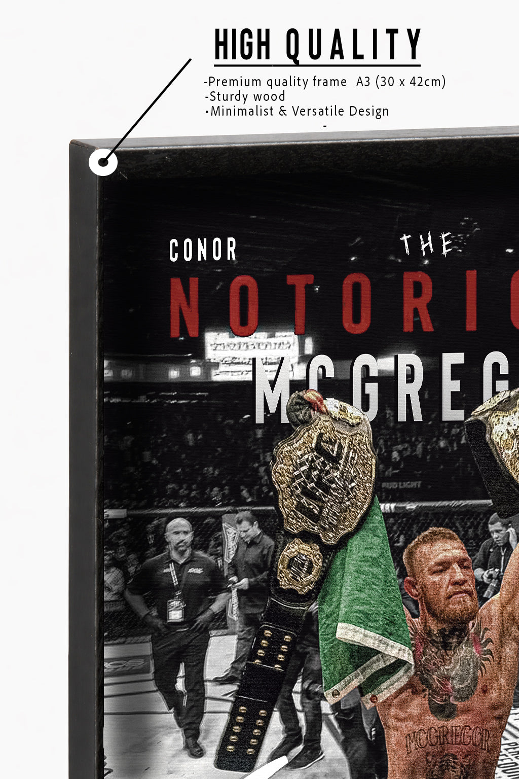 Conor Mcgregor MMA Fighter Poster Framed A3 (30 x 42cm)