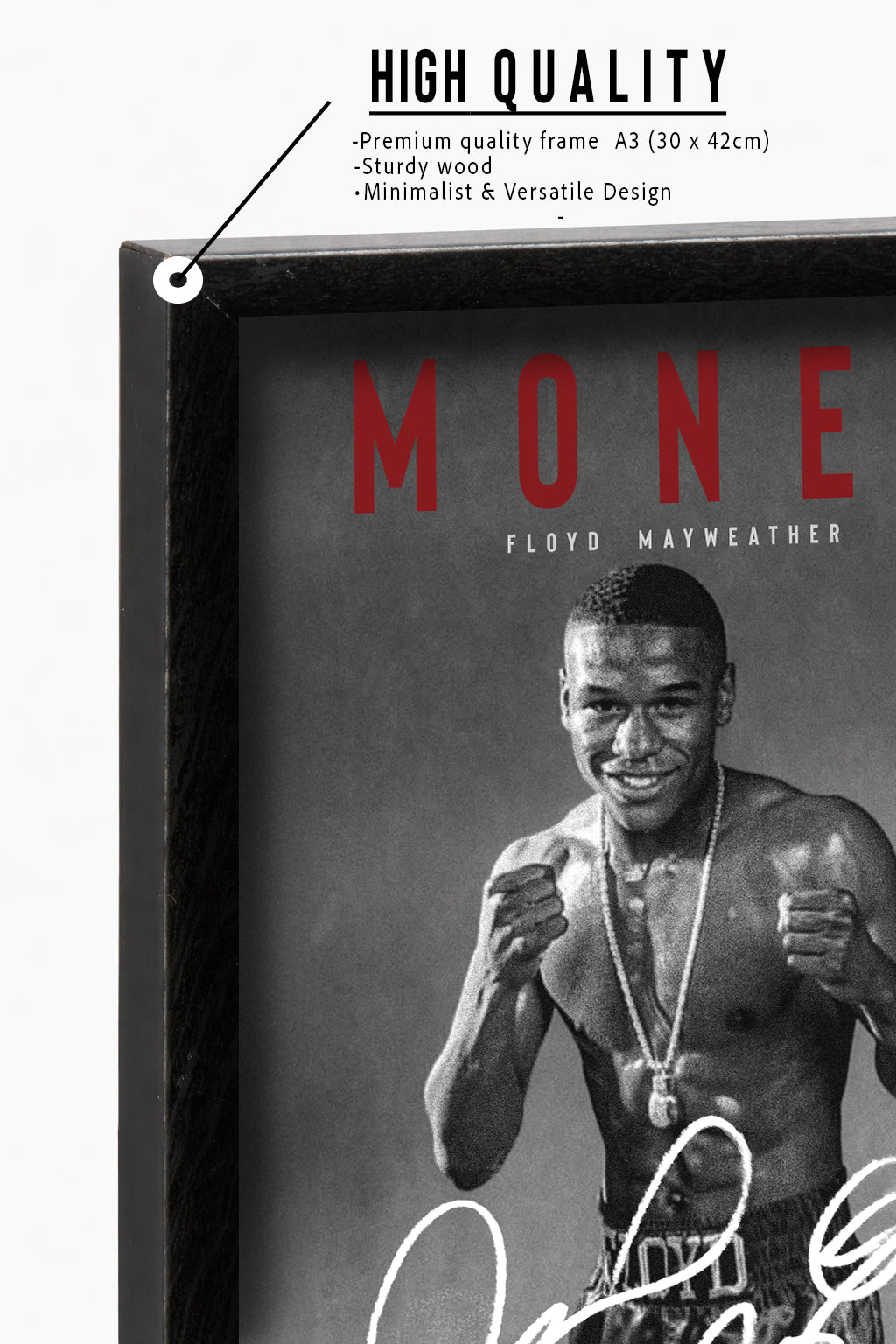 Floyd "Money" Mayweather Boxing Poster Framed